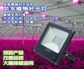 給植物補光的神器-補光燈，避開雷區會更好